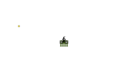 CRAZY FLY GLITCH