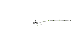 helecoptor rode beri