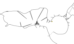 Caves