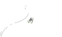 Linear Auto