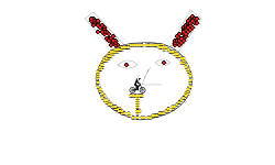 MICKEY MOUSE