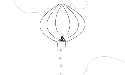a Crazy adventure