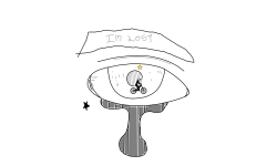 Seeing