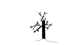 Silhouette 1