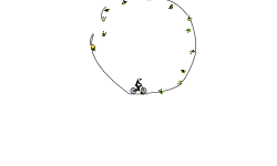 BMX