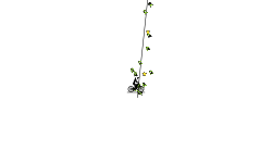 Extreme zip-line