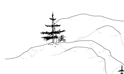Pine Tree Pathway