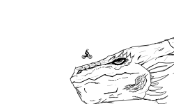 Dragon Sketch