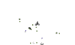 Spin