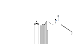 Skate park Race
