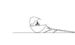 life and death