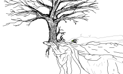 cliff top tree preview part 2