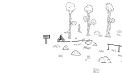 Forest Run