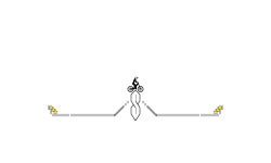 S for Speedygma!