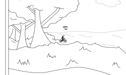 Forest Run