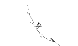 Boulder Dash