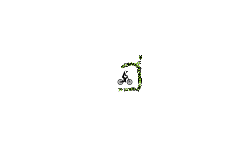 5 subs?