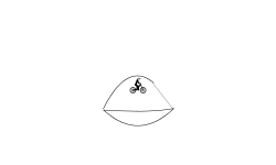 the pod
