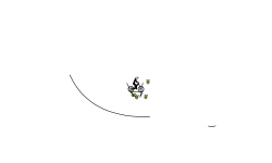 Geneosis (description)