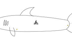 A noob shark