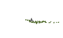 ur mom dont move