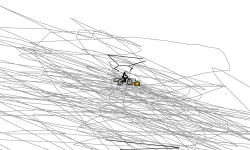 The Bad Track
