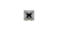 Illusion Challenge