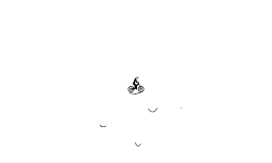 short-auto Track