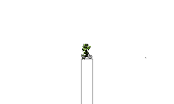 max auto 145