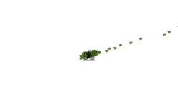 Fun Run