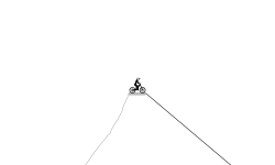 the pro-line