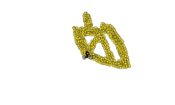 1,000 Stars
