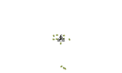 Hate (-20 likes)