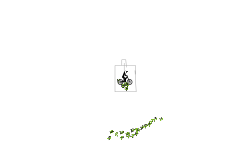 teleport
