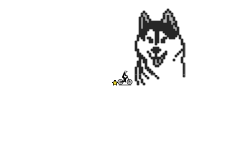 doggo