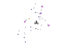 gravity curves