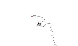 Wheelie VII
