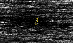 BLACK HOLL 2#