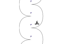 worm