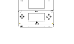 DS lite