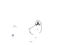 sewy