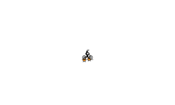 fly or die