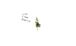 Like Then Click Up