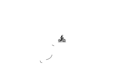 short auto