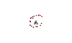 Don't Press Anything