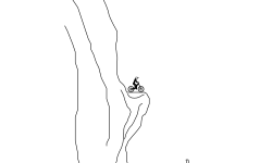 Smooth Jumps