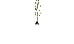 super bloon (hold up)