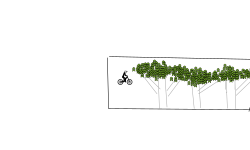 Mini forest