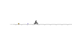 Beginner Trial