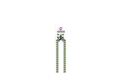 Slight wheelie auto (DESC)